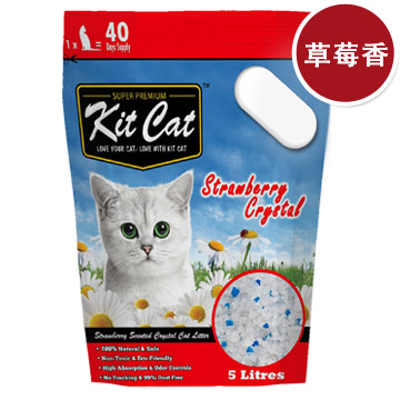 全貓無穀蔓越莓挑嘴保健配方