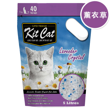 全貓無穀蔓越莓挑嘴保健配方